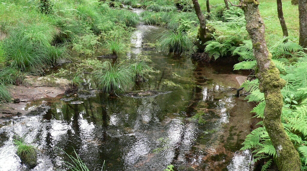 ruta da pedra e da auga (Guitiriz)