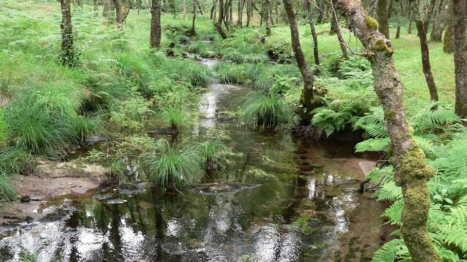 ruta da pedra e da auga (Guitiriz)