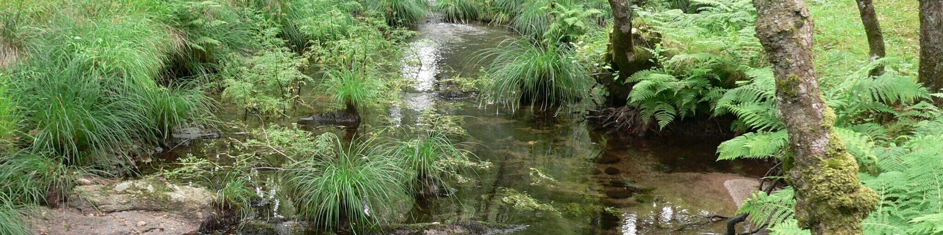 ruta da pedra e da auga (Guitiriz)