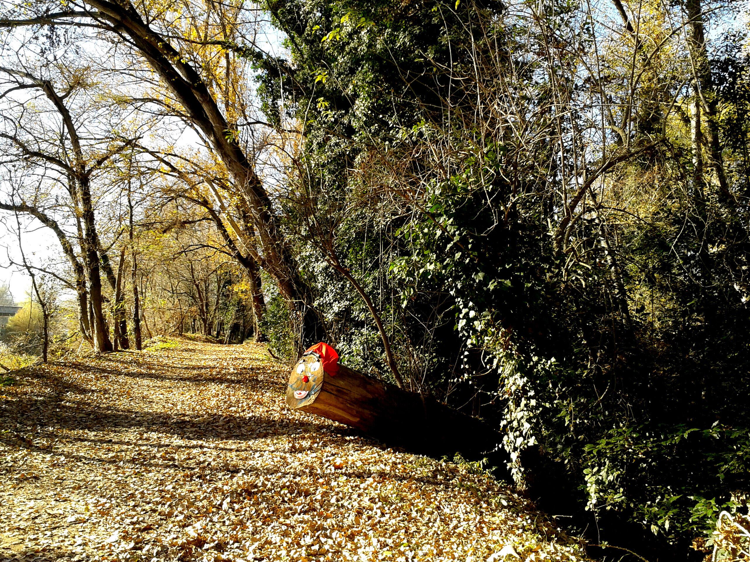 PARC DE LES RIBES DEL TER ( TROBALLA D'UN TIÓ) JEJEJEEEE!!!!!!!!