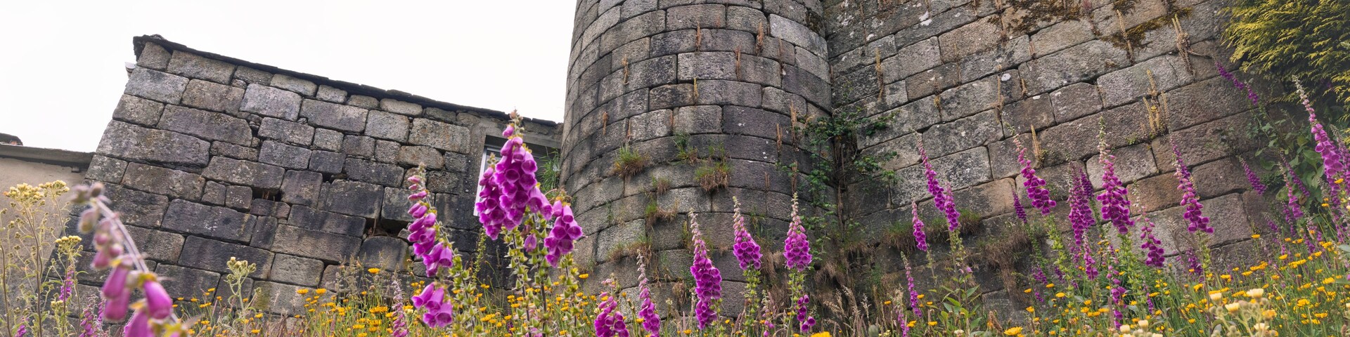 Mural de pedra com uma torre redonda, rodeada por flores silvestres.