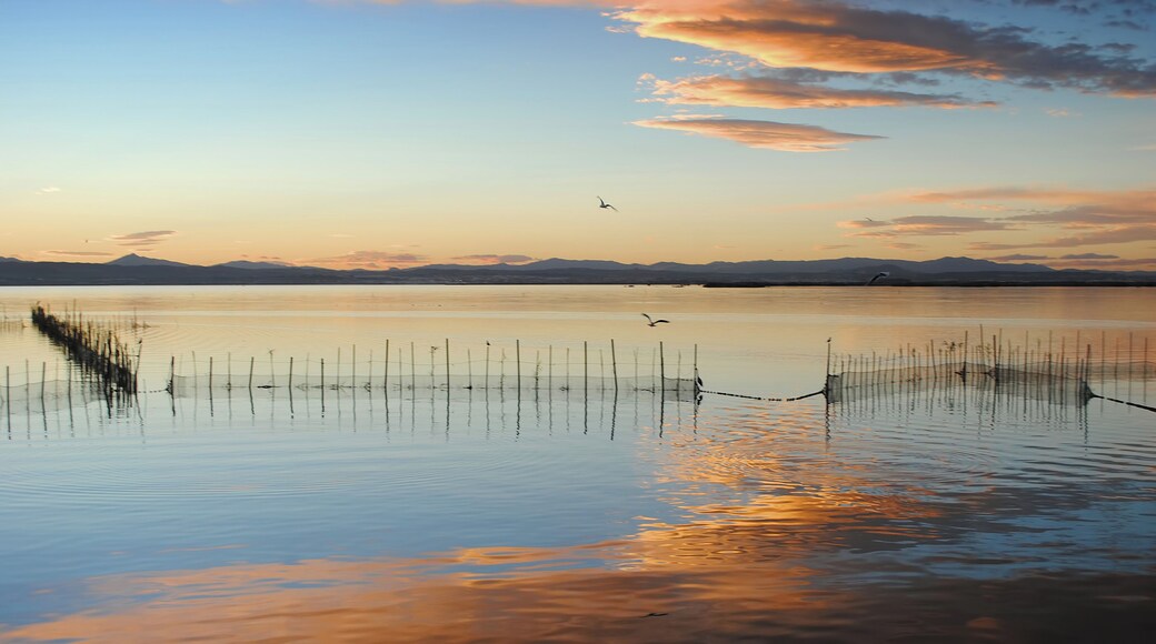 This is a photography of a Special Area of Conservation in Spain with the ID: