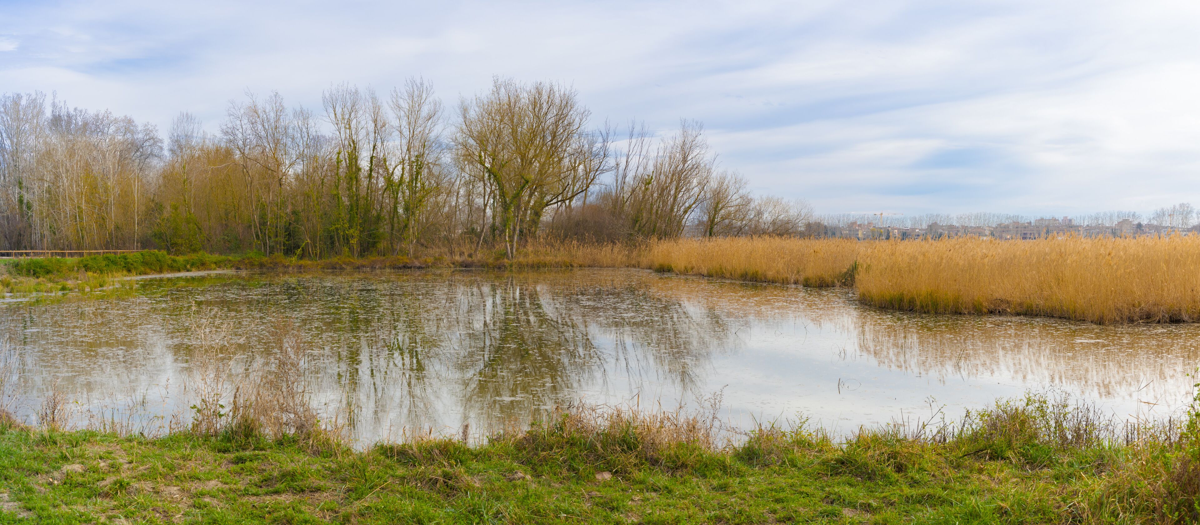Panorama de un pequeño estanque tranquilo del Lago Banyoles en invierno, con reflejos de árboles desnudos y cañizales dorados bajo un cielo nublado en Pla de l'Estany, Cataluña.