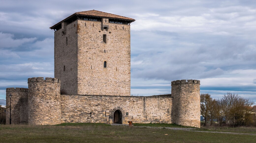 The Mendoza Tower. Álava, Basque Country, Spain