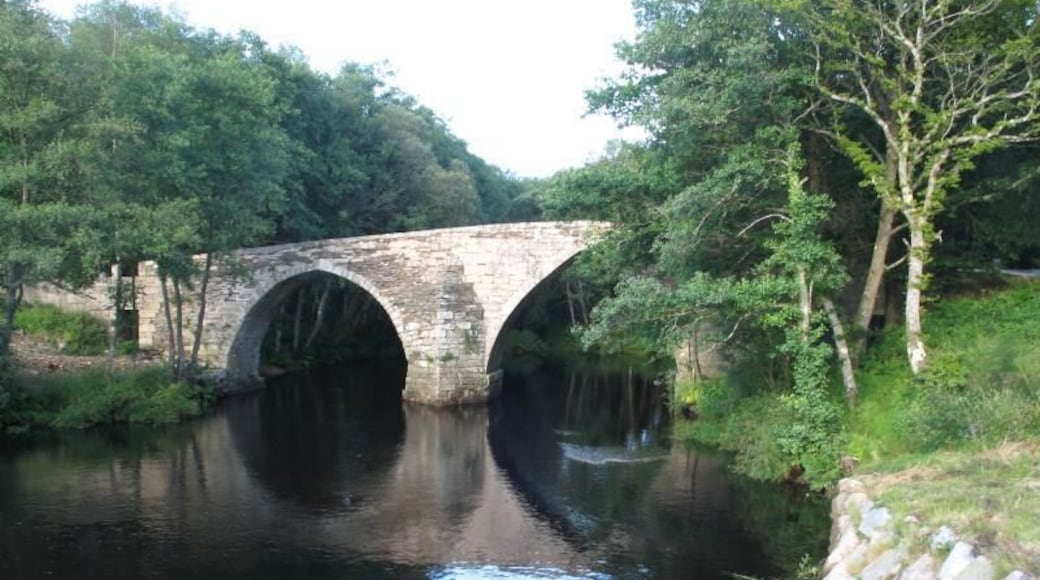 Rio Parga. Ponte de San Alberte