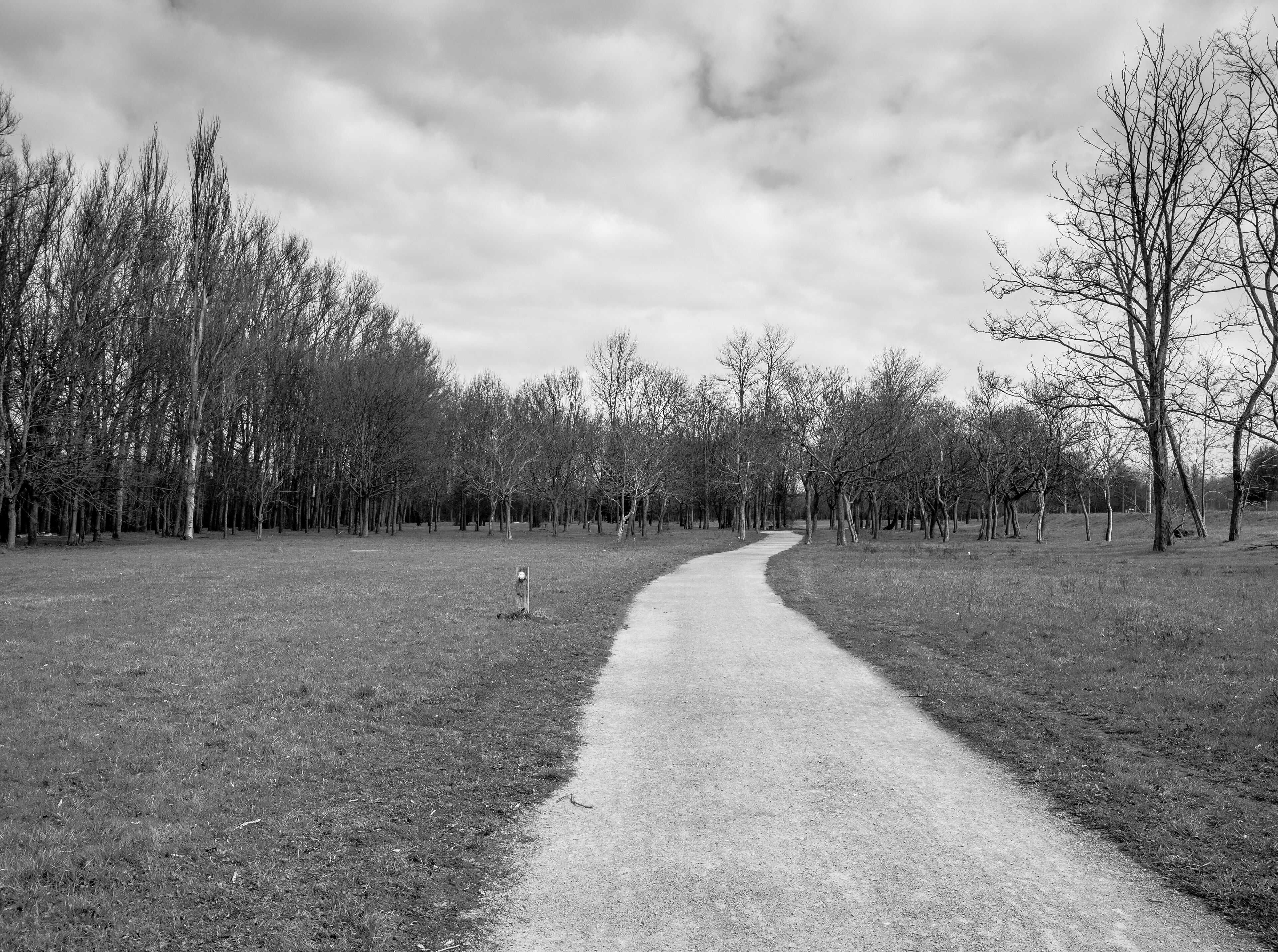 Trail of the Green Ring at Zadorra Park. Vitoria-Gasteiz, Basque Country, Spain