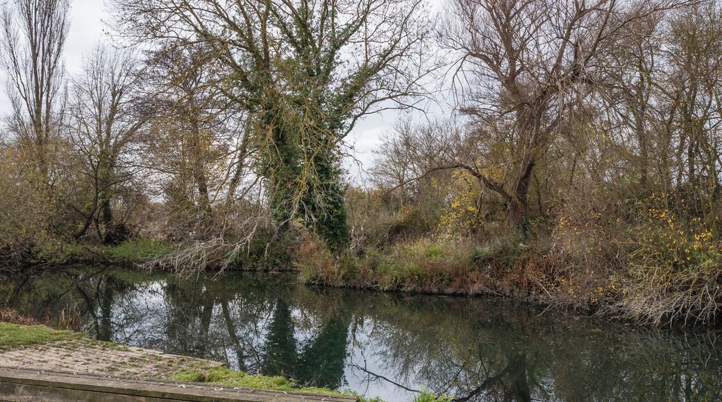 Ortuona viewpoint/Atxa landing. Vitoria-Gasteiz, Basque Country, Spain
