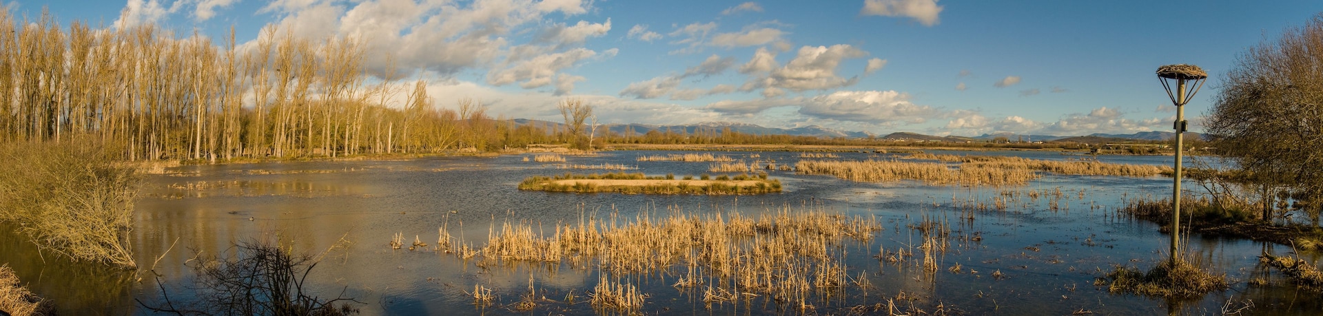 Paisagem de zona úmida com água, juncos, árvores e montanhas ao longe.