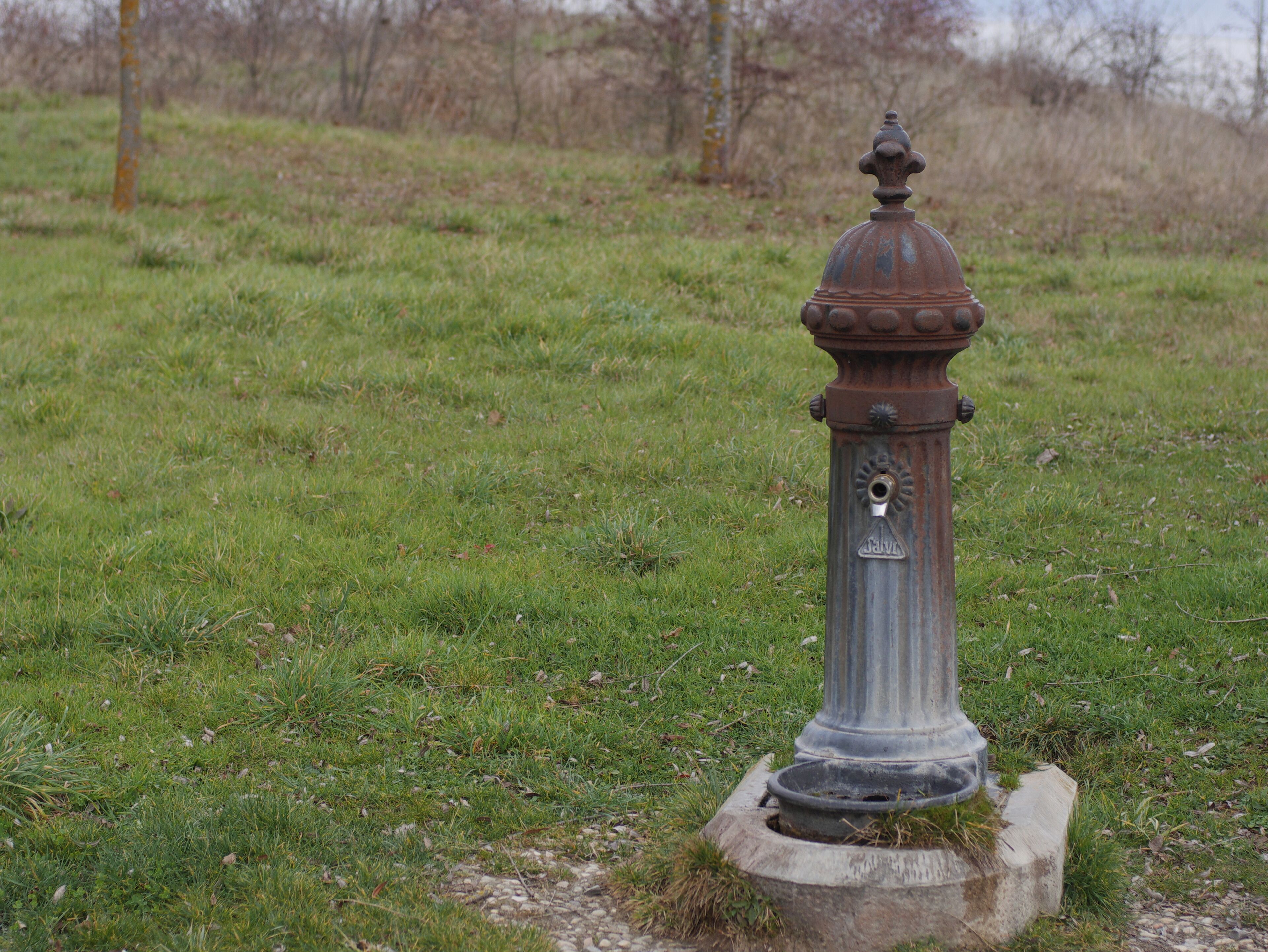 Fuente en el Parque de Zabalgana. Vitoria-Gasteiz, Álava, País Vasco, España