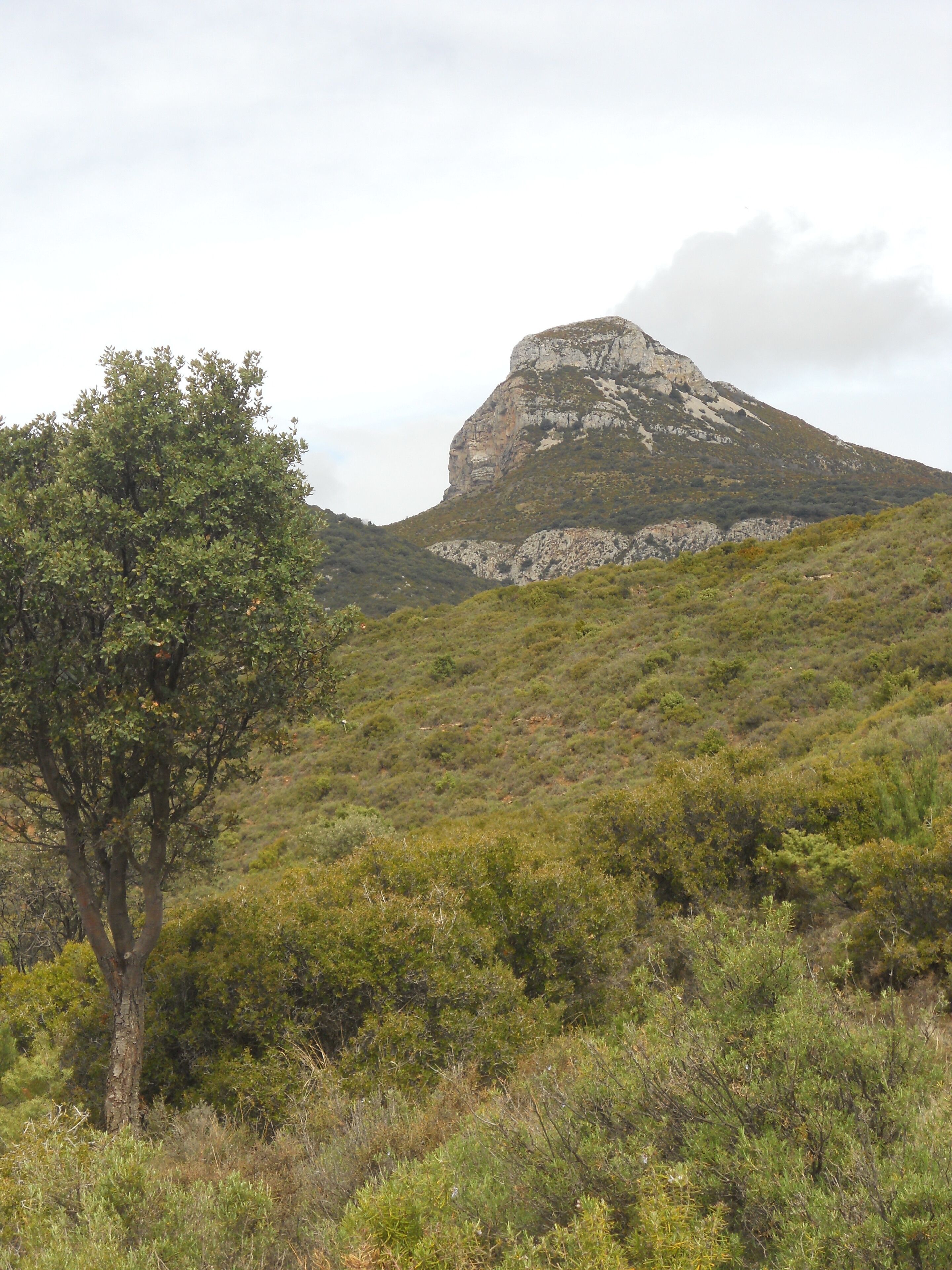 " El Gratal desde Nueno "