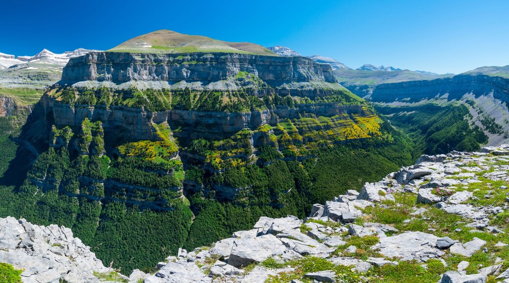 Un paisaje montañoso con un acantilado destacado y un bosque denso.