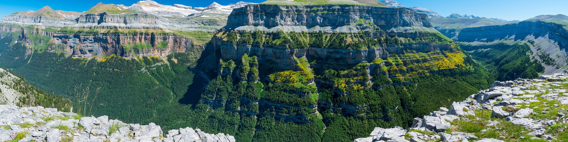 Un paisaje montañoso con un acantilado destacado y un bosque denso.