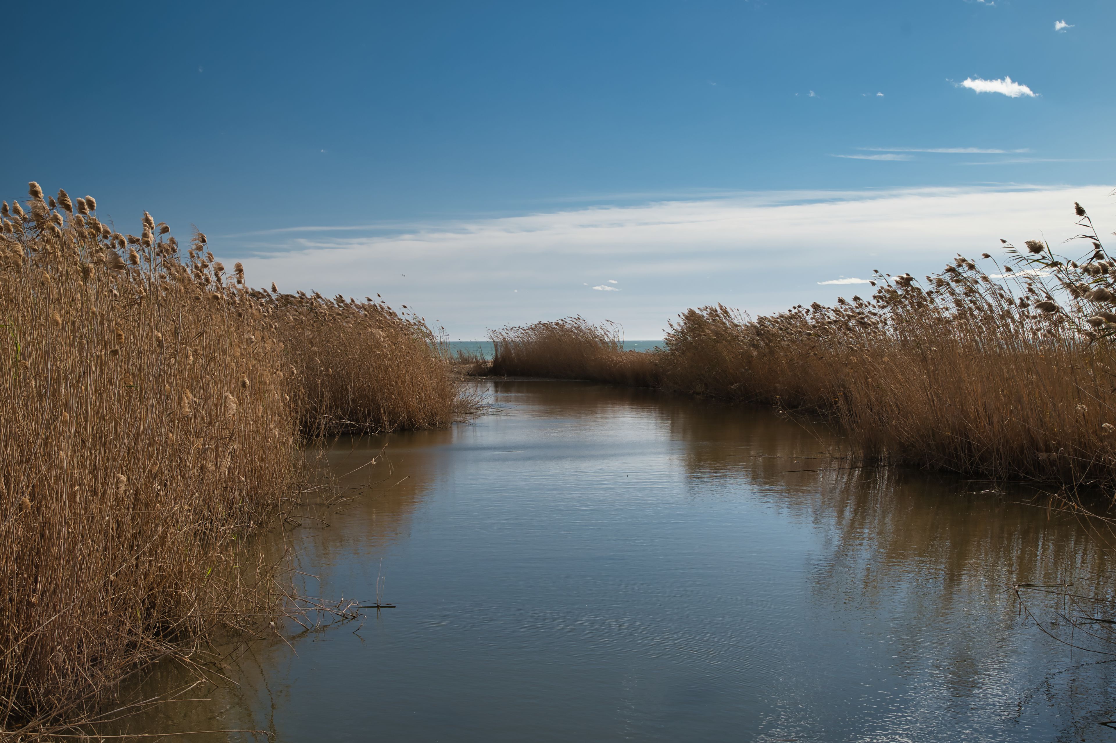 Mouth of the river in the Llobregat Delta National Park, a photo with clouds and its reflection in the river. Spain