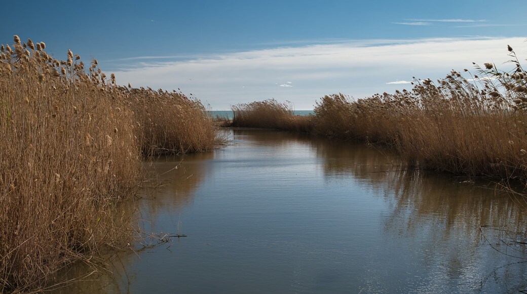 Mouth of the river in the Llobregat Delta National Park, a photo with clouds and its reflection in the river. Spain