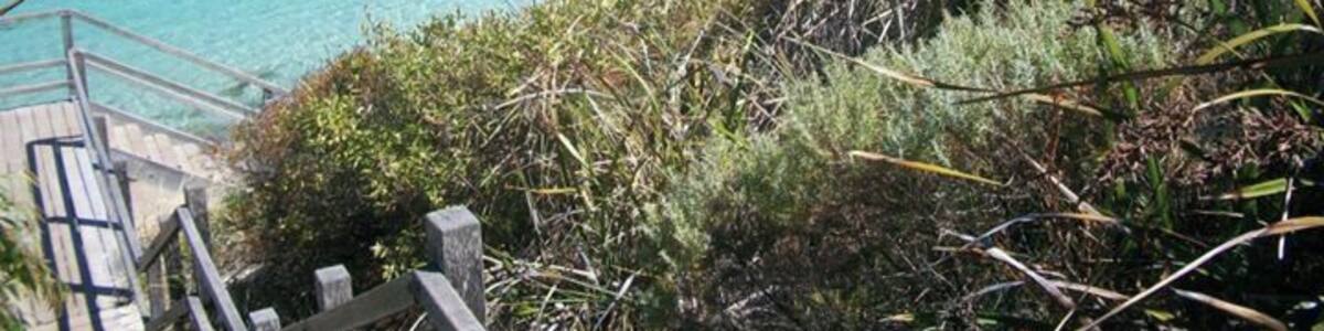 Stunning Green pool,William Bay.