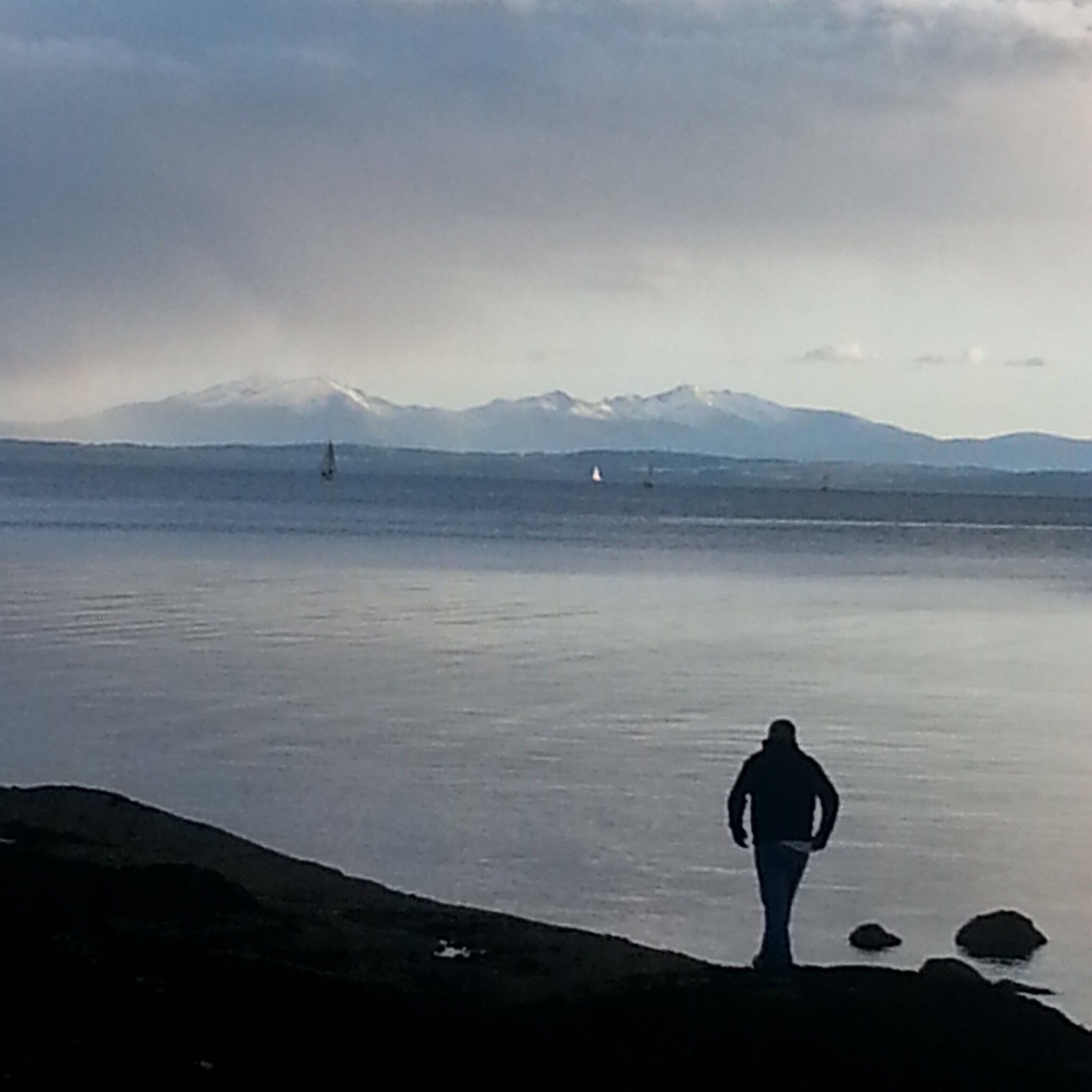 quiet picnic barbecue beachy area