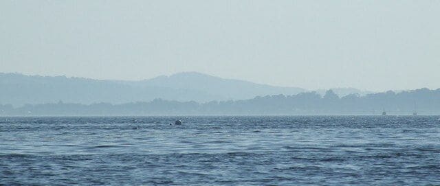 Hazy Toward Point Viewed from Inverkip beach. The lighthouses are just out of shot to the left. Part of Bute is visible through the evening haze.