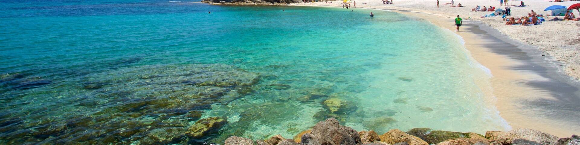 Benissa Coast featuring a sandy beach, tropical scenes and general coastal views