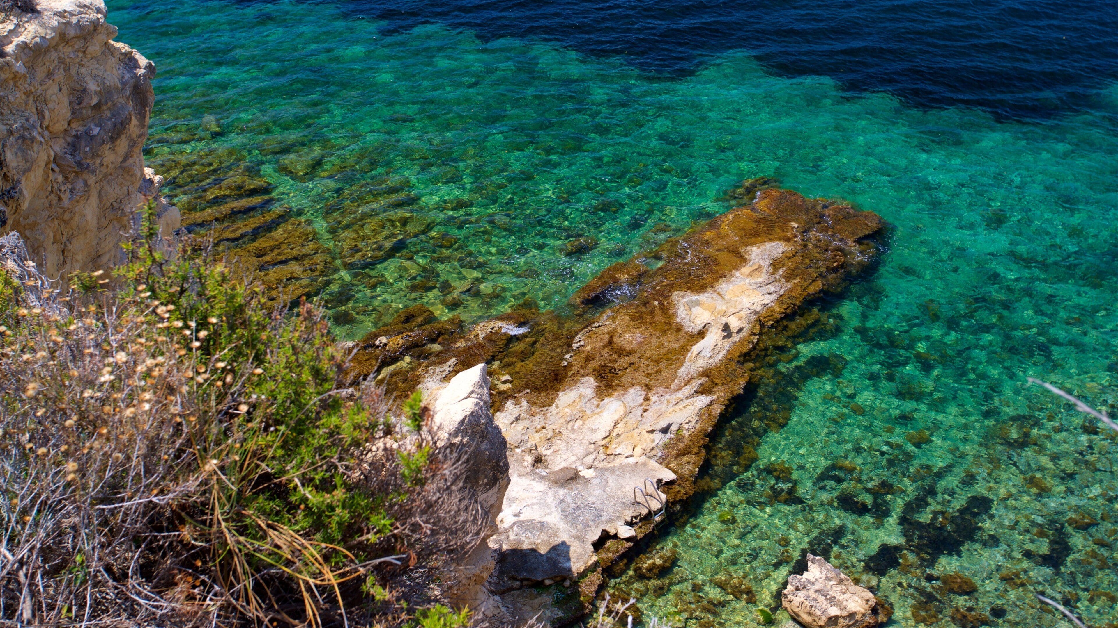 Benissa Coast showing general coastal views, tropical scenes and rocky coastline