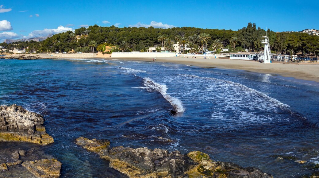 คาลา เดล พอร์ทิทโซเลท์