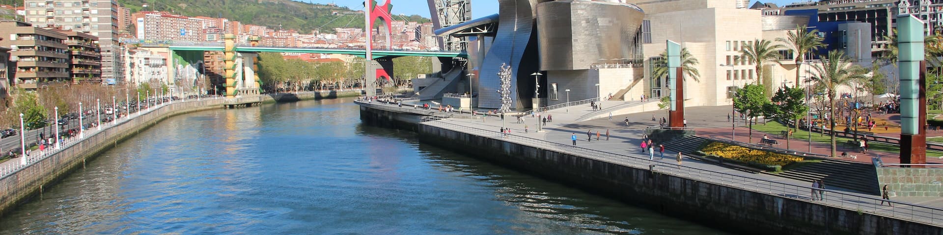 View from the Puente Pedro Arrupe