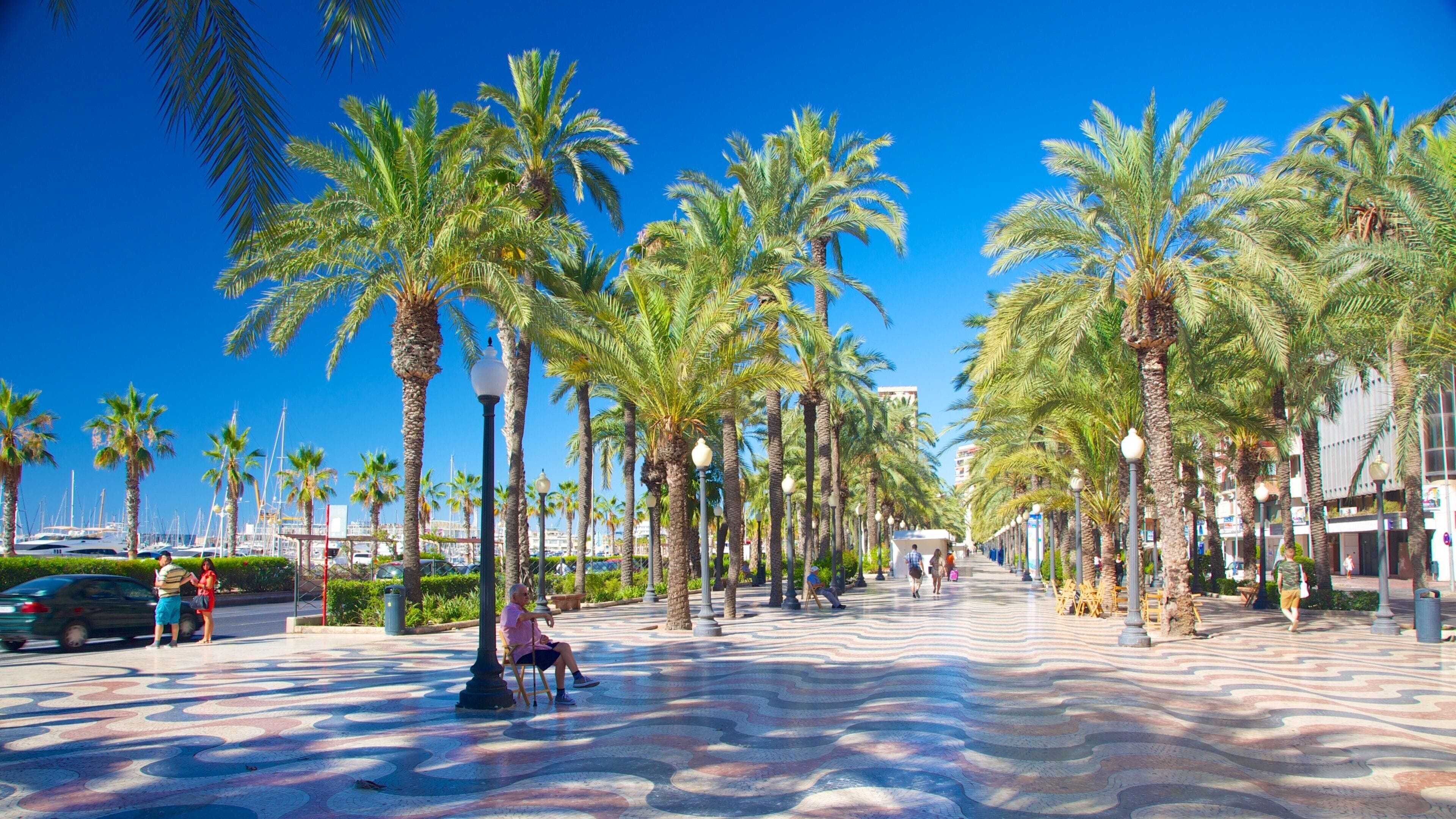 Alicante City Centre featuring a square or plaza
