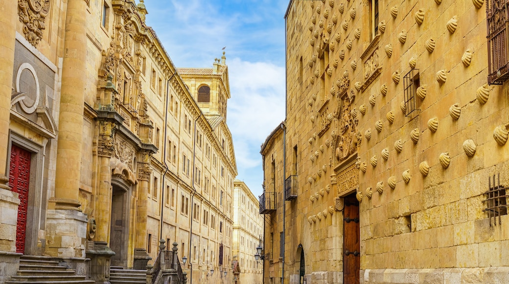 Famous architecture of Salamanca with medieval buildings, including the Casa de las Conchas in Spain.