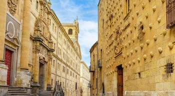 Famous architecture of Salamanca with medieval buildings, including the Casa de las Conchas in Spain.