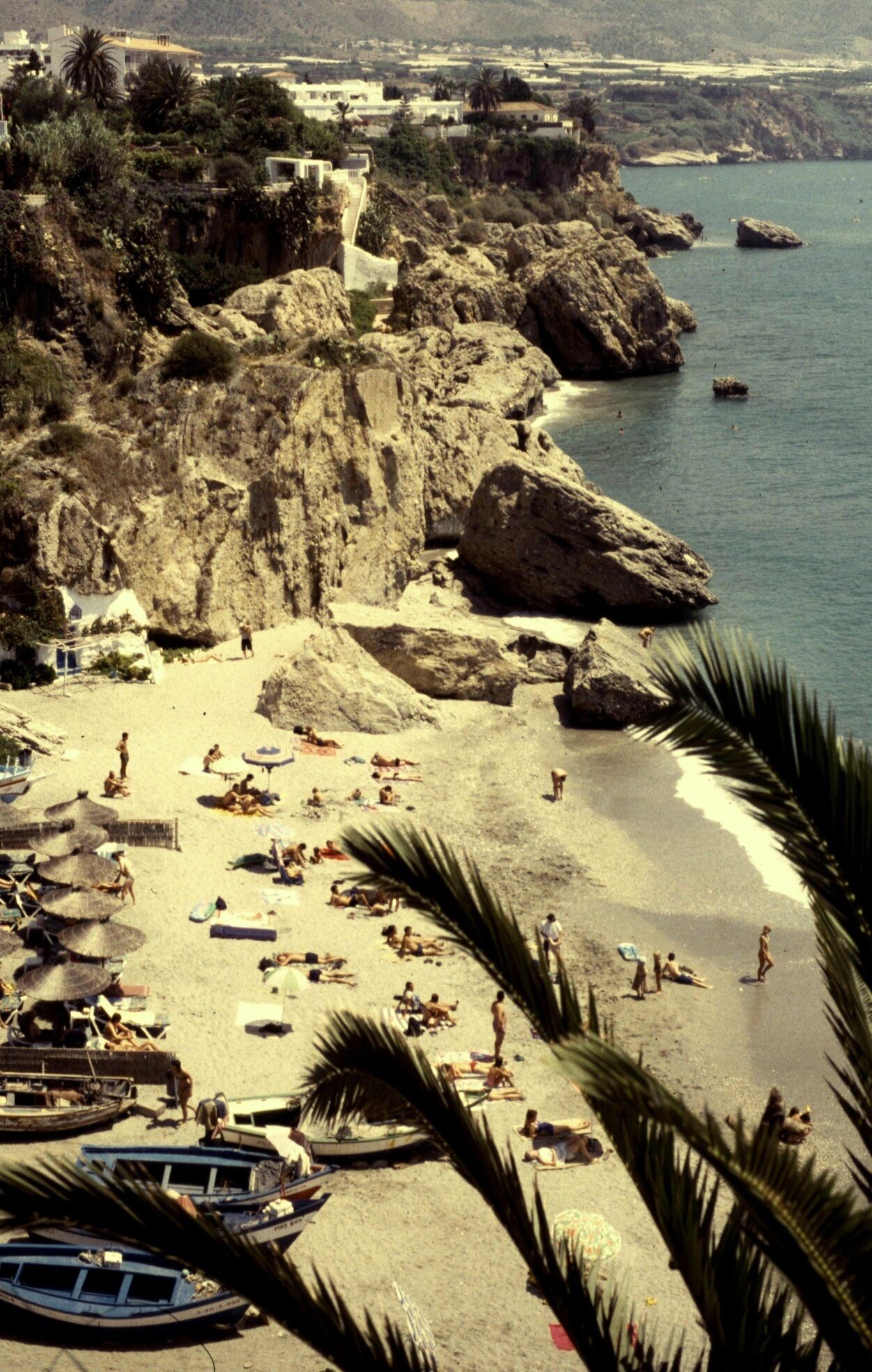 A beach with rocky cliffs, palm trees, and people sunbathing.