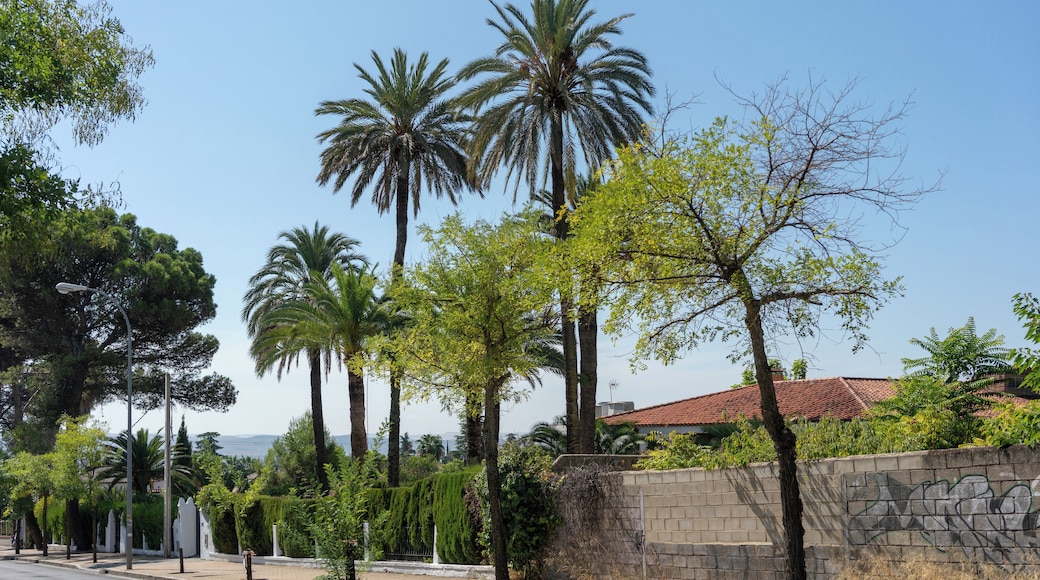 Cordoba_ElBrillante_553248633937780807_03