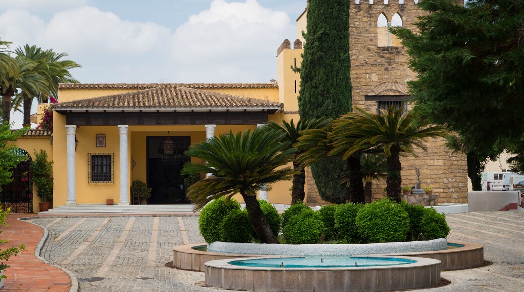El Brillante showing heritage elements and a fountain
