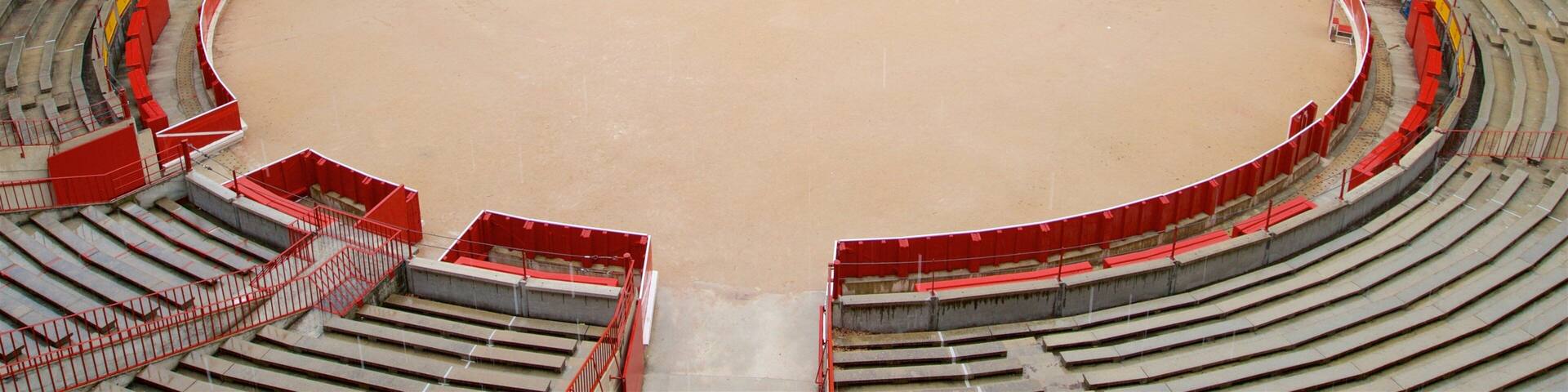 Plaza de Toros de Pamplona