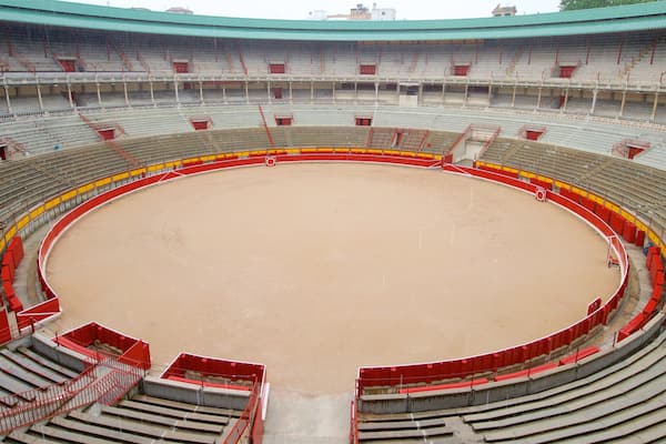 ArĂšne Plaza de Toros dâĂvila