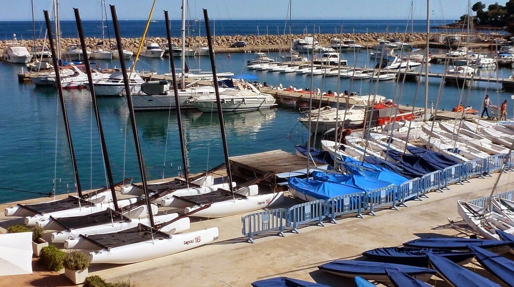 Club Náutico Calanova