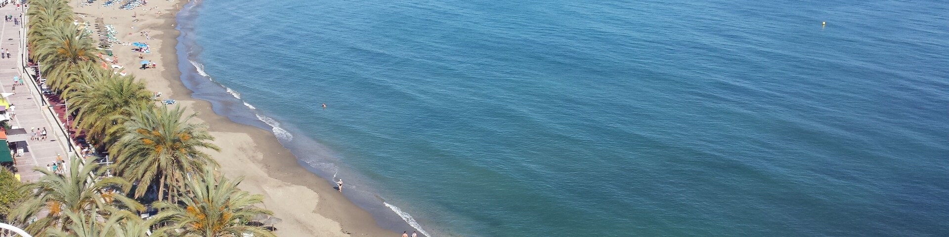 Una playa costera con palmeras, un muelle y barcos.