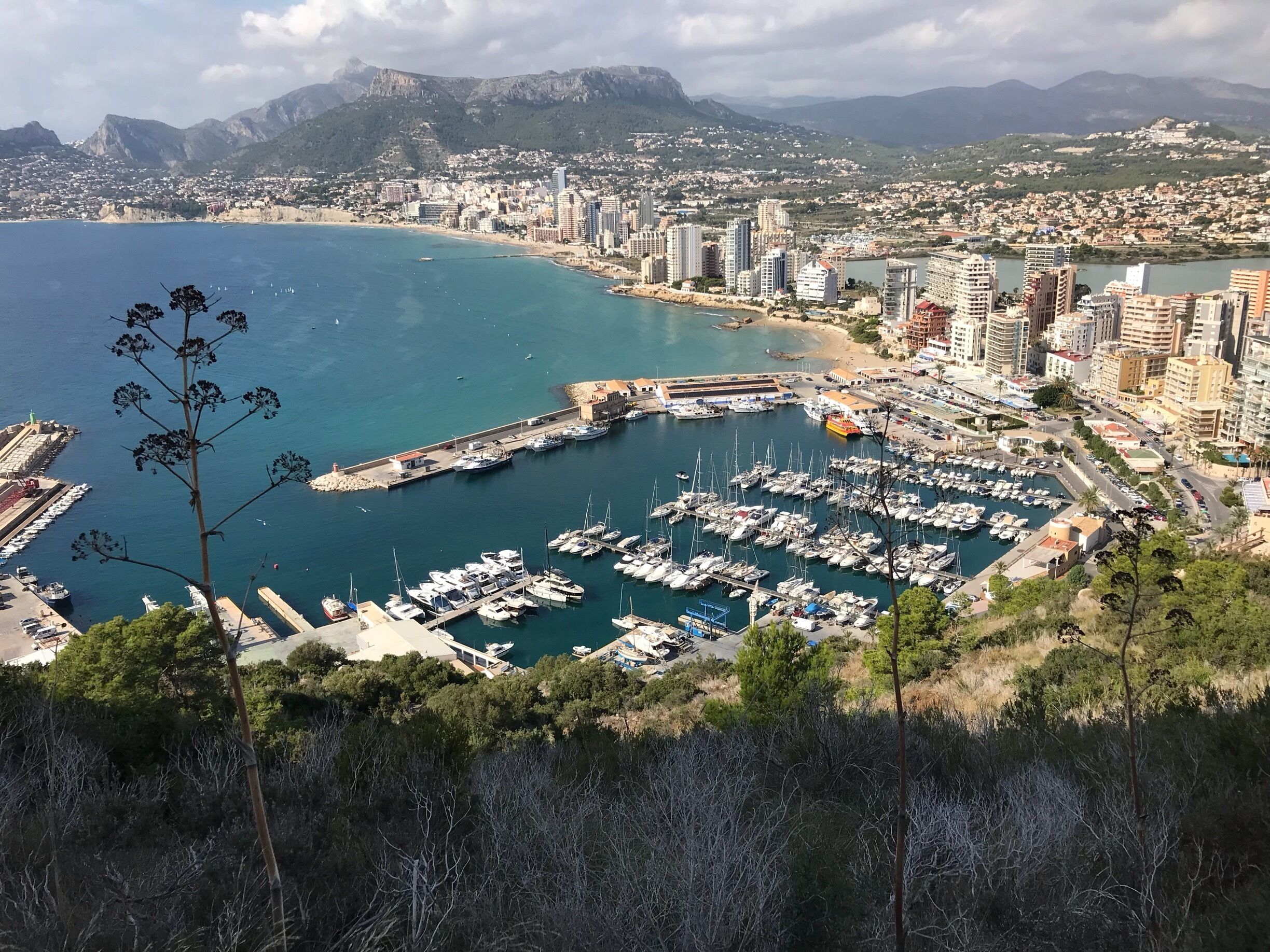 Un paisaje urbano costero con un puerto deportivo lleno de barcos, rodeado de montañas y edificios residenciales.