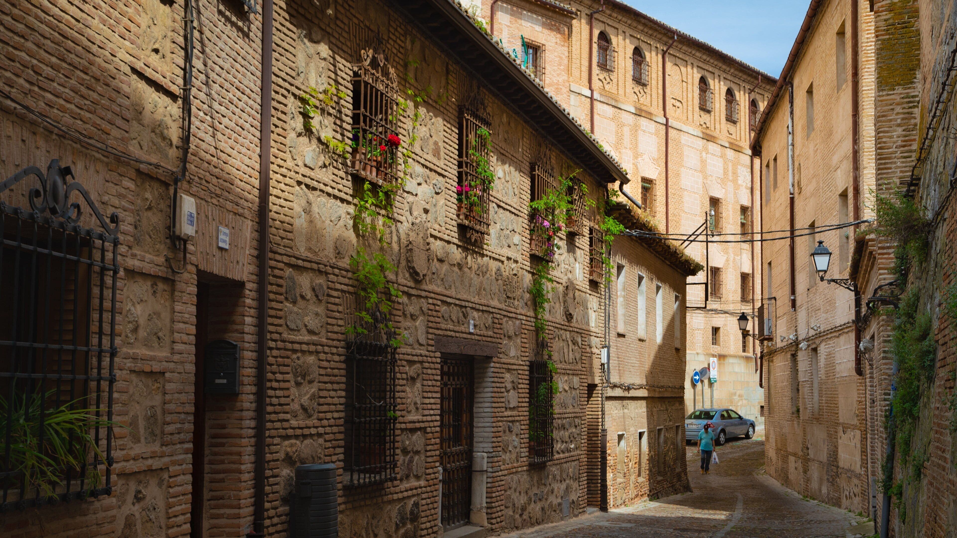 Toledo City Centre which includes a city and heritage elements