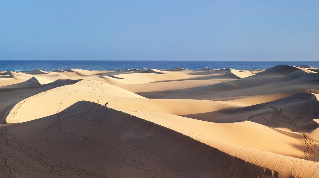 Panorama of the sand dunes of Maspalomas, Maspalomas, Gran Canaria, Canary Islands, Spain, Atlantic