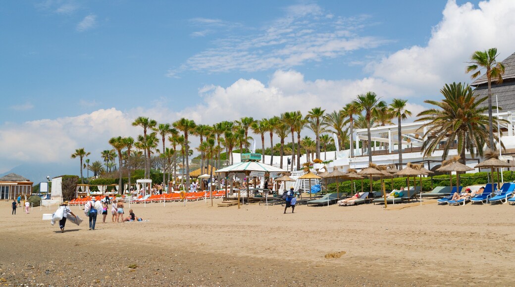 Nikki Beach which includes general coastal views, a sandy beach and a coastal town