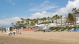 A beach with palm trees, beach umbrellas, and lounge chairs.