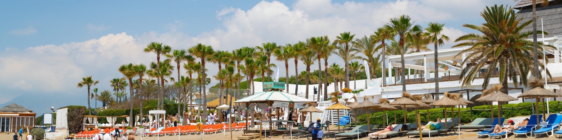 Nikki Beach which includes general coastal views, a sandy beach and a coastal town