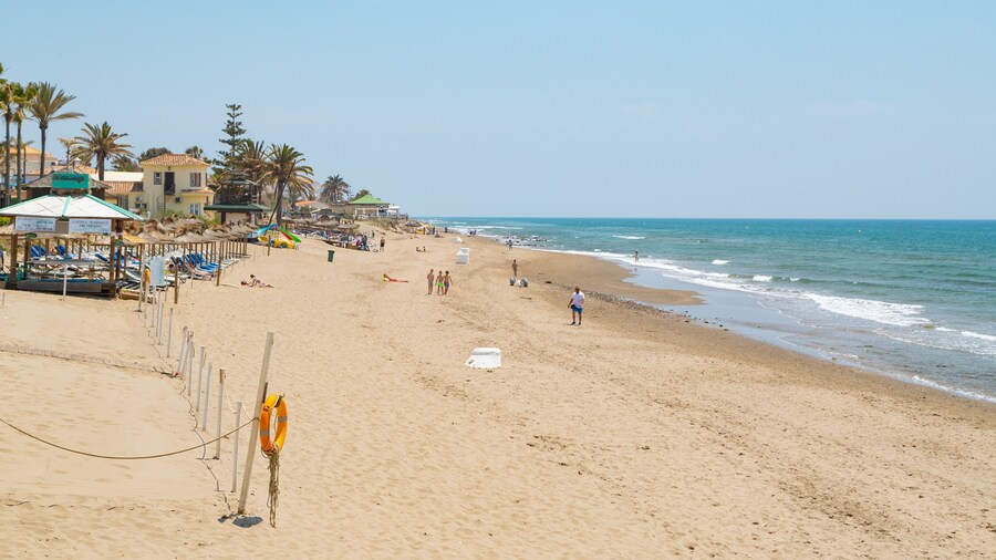 Nikki Beach which includes a sandy beach and general coastal views