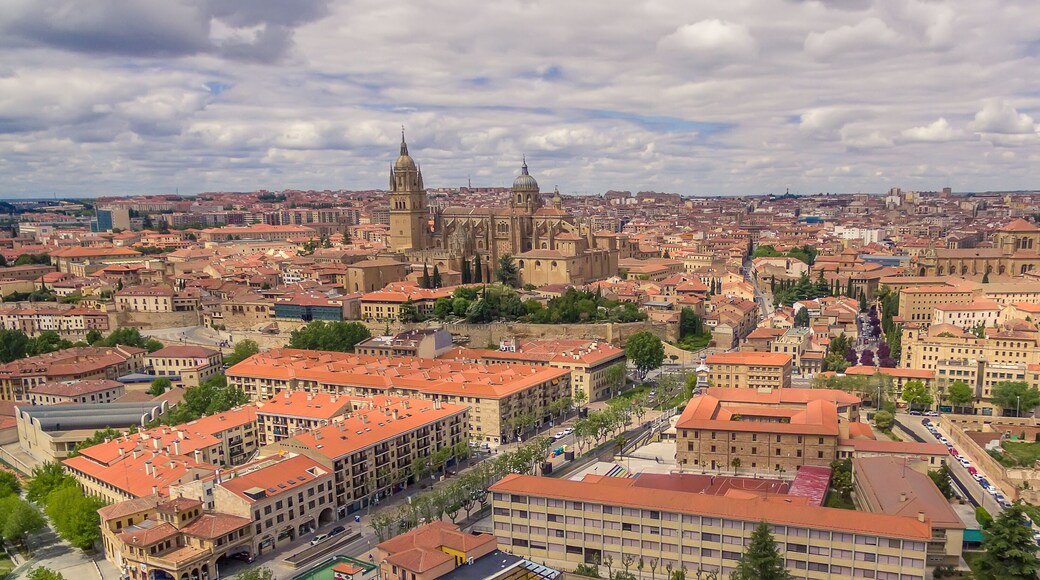 ใจกลางเมืองลีออน