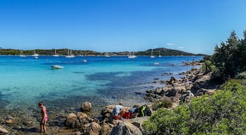 The beach of Cala Brandinchi in San Teodoro with turquoise water