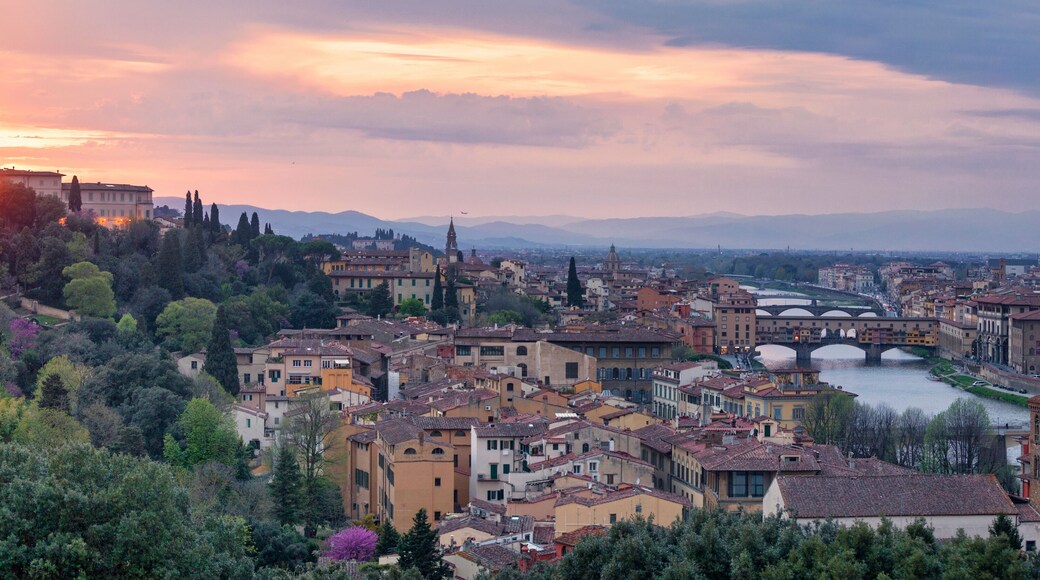 Panoramic view of Florence at sunset with in the background, the Basilica di Santo Spirito and its spire, the Church of San Frediano in Cestello and Ponte Vecchio.