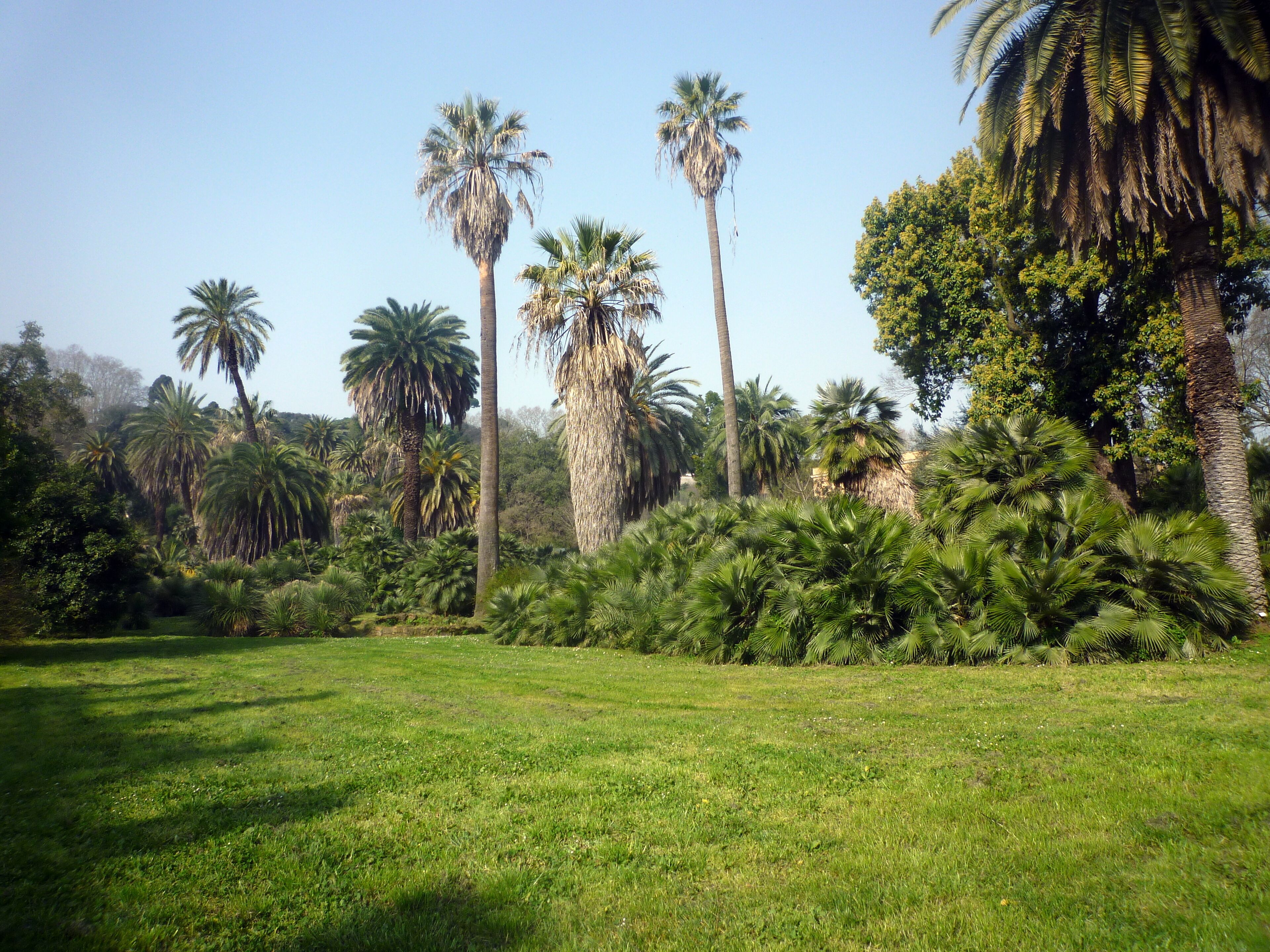 Orto Botanico di Roma
