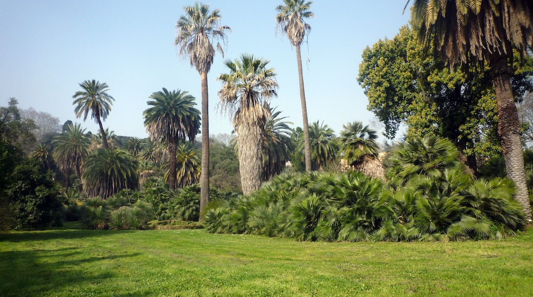 Orto Botanico di Roma