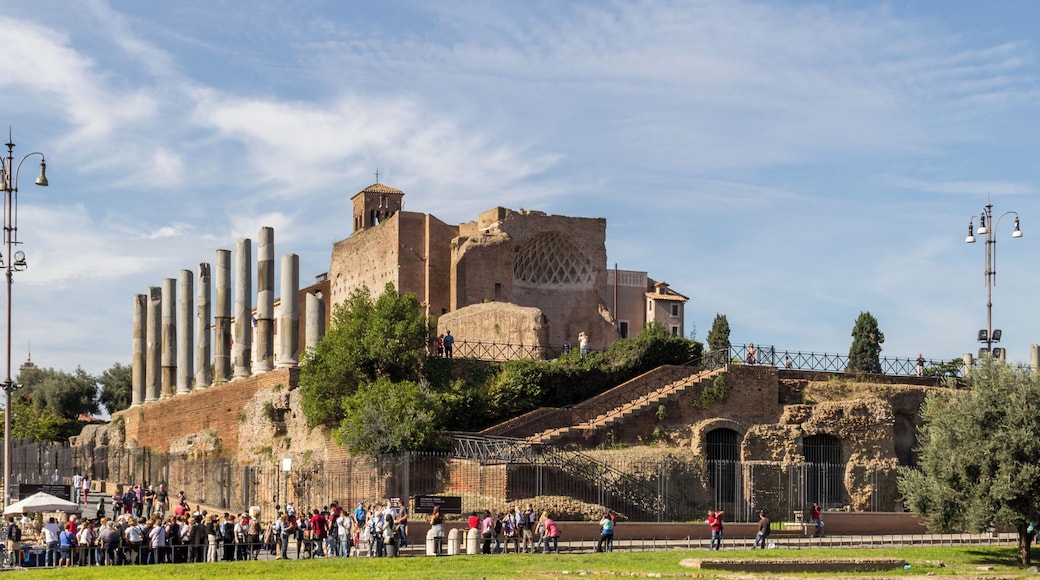 Roman Forum near Colosseum, Rome, Italy