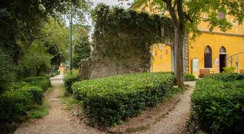 Careggi Rifredi featuring a garden