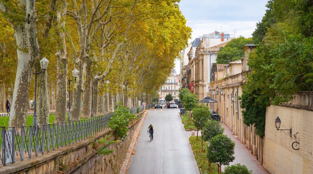 Beaux Arts-Boutonnet